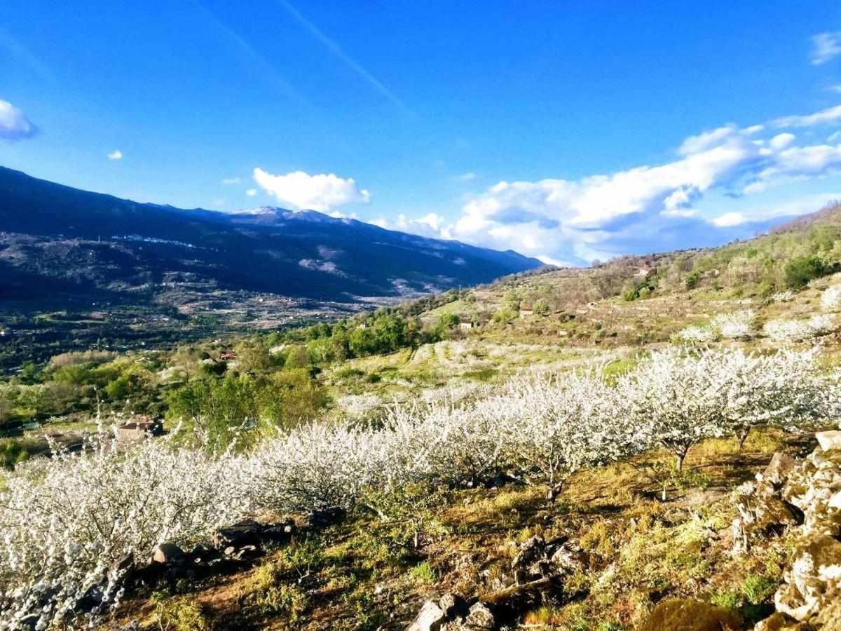 Mi Valle Rural Villa Casas del Castañar Buitenkant foto