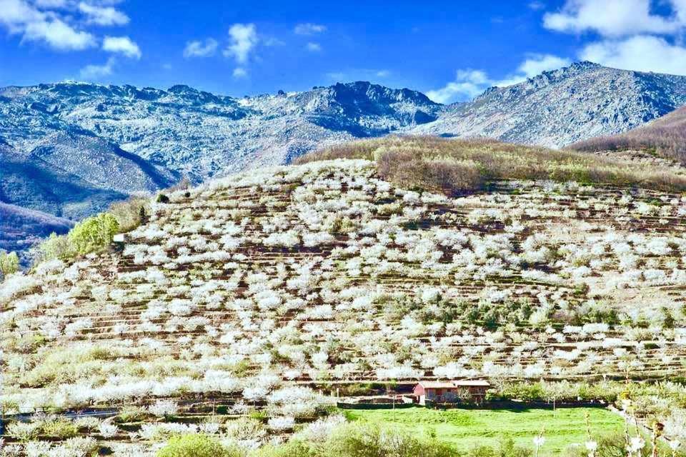 Mi Valle Rural Villa Casas del Castañar Kamer foto